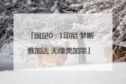 国足0∶1印尼 梦断雅加达 无缘美加墨