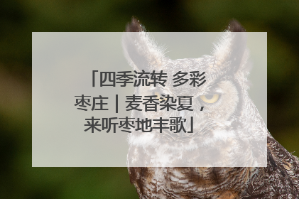 四季流转 多彩枣庄｜麦香染夏，来听枣地丰歌