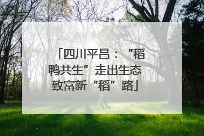 四川平昌：“稻鸭共生”走出生态致富新“稻”路