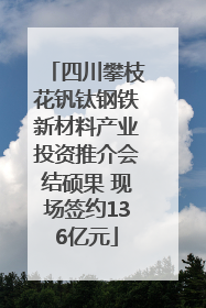 四川攀枝花钒钛钢铁新材料产业投资推介会结硕果 现场签约136亿元