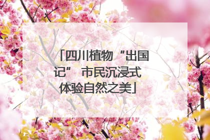 四川植物“出国记” 市民沉浸式体验自然之美