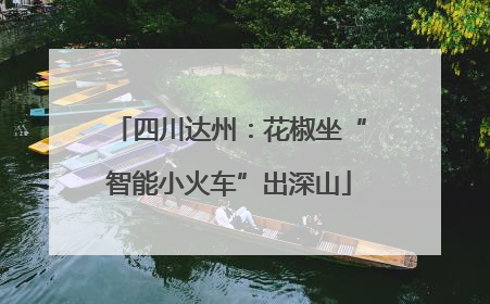 四川达州：花椒坐“智能小火车”出深山