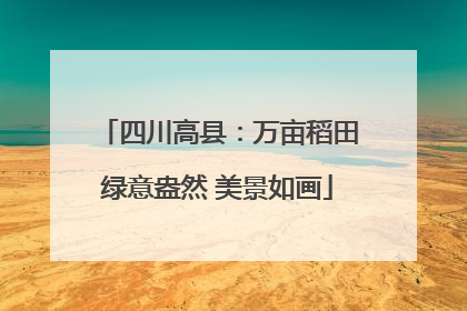 四川高县：万亩稻田绿意盎然 美景如画