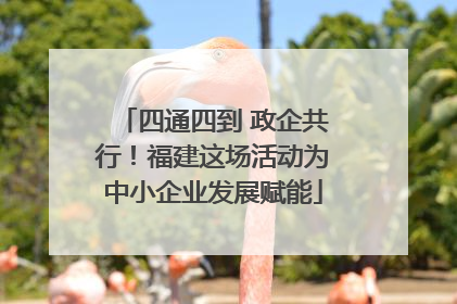 四通四到 政企共行！福建这场活动为中小企业发展赋能