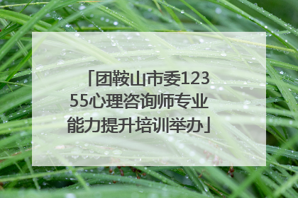 团鞍山市委12355心理咨询师专业能力提升培训举办