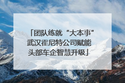 团队练就“大本事” 武汉霍尼特公司赋能头部车企智慧升级