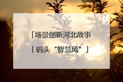 场景创新河北故事丨码头“智慧风”