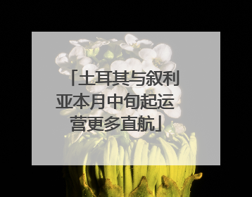 土耳其与叙利亚本月中旬起运营更多直航