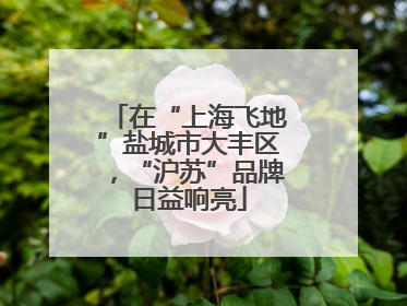在“上海飞地”盐城市大丰区，“沪苏”品牌日益响亮