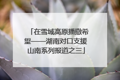 在雪域高原播撒希望——湖南对口支援山南系列报道之三