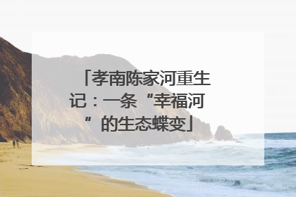 孝南陈家河重生记：一条“幸福河”的生态蝶变