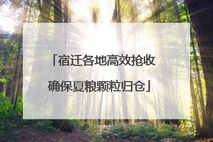 宿迁各地高效抢收 确保夏粮颗粒归仓