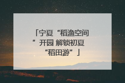 宁夏“稻渔空间”开园 解锁初夏“稻田游”