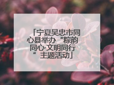 宁夏吴忠市同心县举办“粽韵同心·文明同行”主题活动