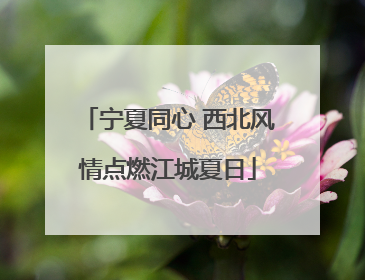 宁夏同心 西北风情点燃江城夏日