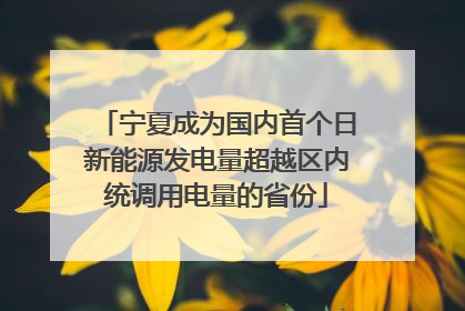 宁夏成为国内首个日新能源发电量超越区内统调用电量的省份