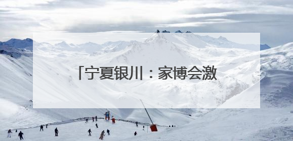 宁夏银川：家博会激活家居消费新动能
