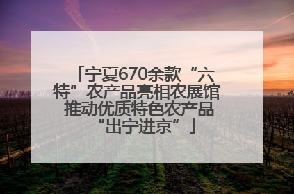 宁夏670余款“六特”农产品亮相农展馆 推动优质特色农产品“出宁进京”