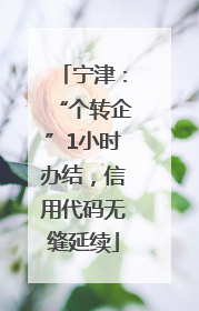宁津：“个转企”1小时办结，信用代码无缝延续
