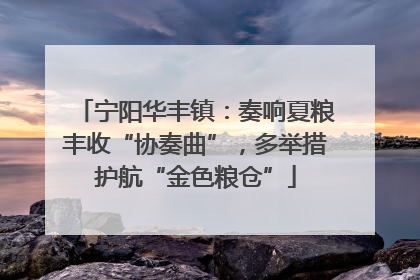 宁阳华丰镇：奏响夏粮丰收“协奏曲”，多举措护航“金色粮仓”