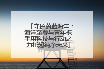 守护蔚蓝海洋：海洋至尊与青年携手用科技与行动之力托起纯净未来