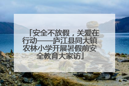 安全不放假，关爱在行动——庐江县同大镇农林小学开展暑假前安全教育大家访