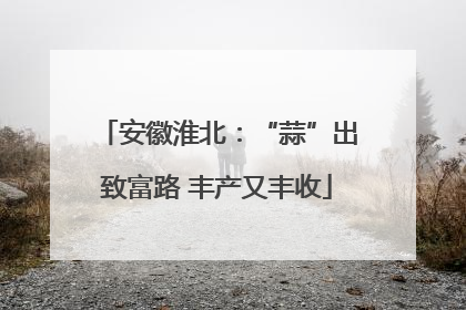 安徽淮北：“蒜”出致富路 丰产又丰收