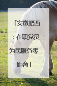 安徽肥西：在职党员为民服务零距离
