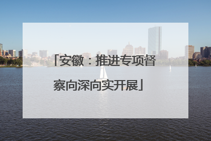 安徽：推进专项督察向深向实开展