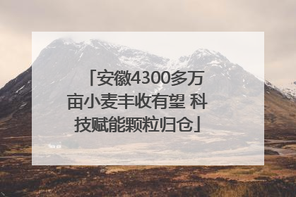 安徽4300多万亩小麦丰收有望 科技赋能颗粒归仓