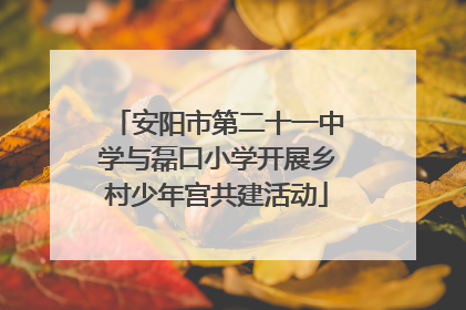 安阳市第二十一中学与磊口小学开展乡村少年宫共建活动