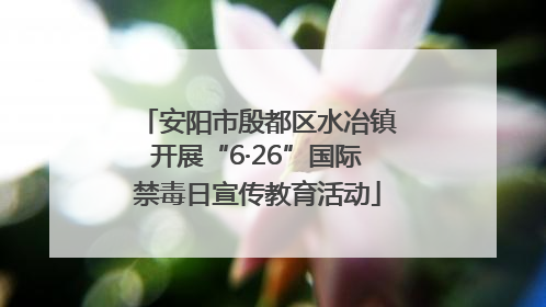 安阳市殷都区水冶镇开展“6·26”国际禁毒日宣传教育活动