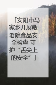 安阳市马家乡开展敬老院食品安全检查 守护“舌尖上的安全”