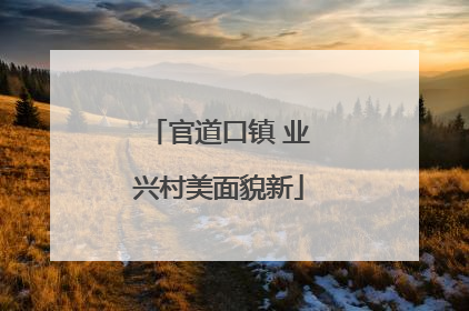 官道口镇 业兴村美面貌新