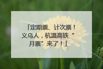 定期票、计次票！义乌人，杭温高铁“月票”来了！