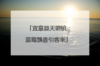 宜章县天塘镇：蓝莓飘香引客来