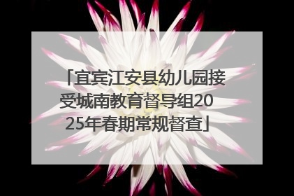 宜宾江安县幼儿园接受城南教育督导组2025年春期常规督查
