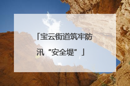 宝云街道筑牢防汛“安全堤”