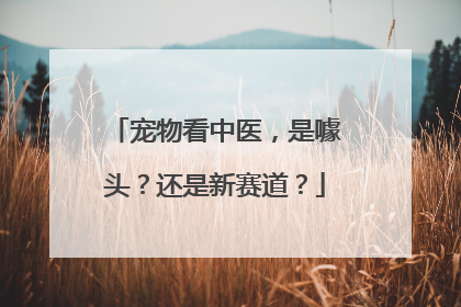 宠物看中医，是噱头？还是新赛道？