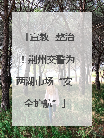 宣教+整治！荆州交警为两湖市场“安全护航”