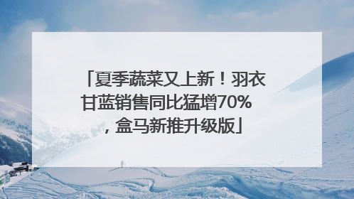 夏季蔬菜又上新！羽衣甘蓝销售同比猛增70%，盒马新推升级版