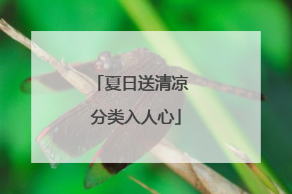 夏日送清凉 分类入人心