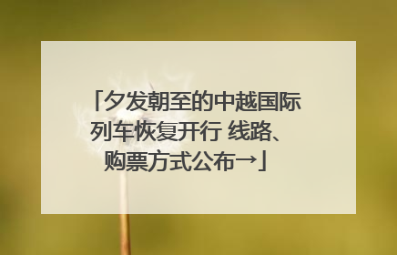 夕发朝至的中越国际列车恢复开行 线路、购票方式公布→