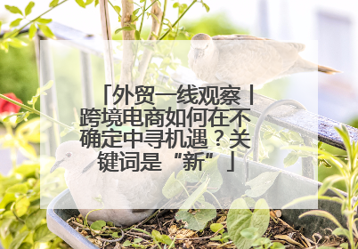外贸一线观察丨跨境电商如何在不确定中寻机遇？关键词是“新”
