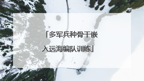 多军兵种骨干嵌入远海编队训练