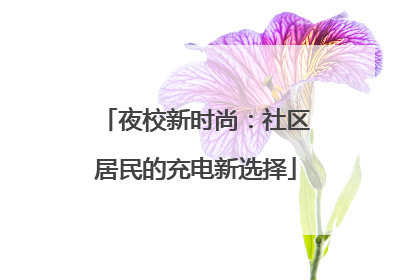 夜校新时尚：社区居民的充电新选择