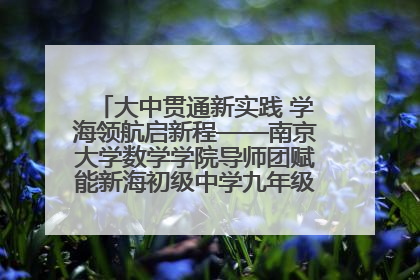 大中贯通新实践 学海领航启新程——南京大学数学学院导师团赋能新海初级中学九年级学子生涯规划