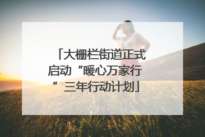 大栅栏街道正式启动“暖心万家行”三年行动计划