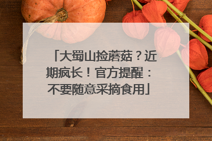 大蜀山捡蘑菇？近期疯长！官方提醒：不要随意采摘食用