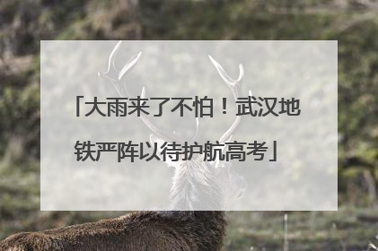大雨来了不怕！武汉地铁严阵以待护航高考